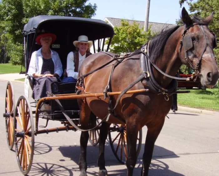 Carriage in a parade 