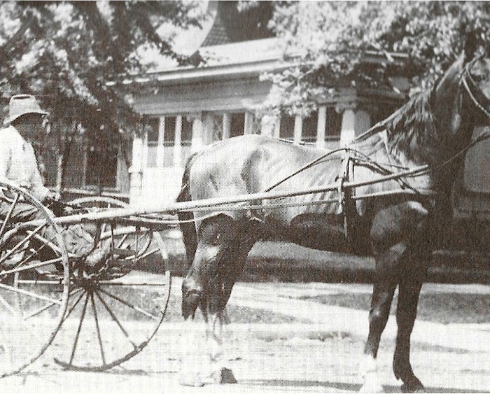 Lew Wilson-Horse Trainer